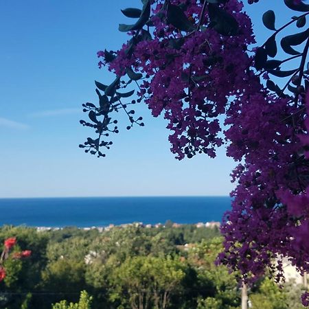 Vila Pogled Petrovac Zewnętrze zdjęcie