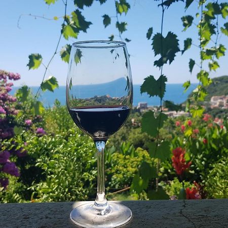 Vila Pogled Petrovac Zewnętrze zdjęcie