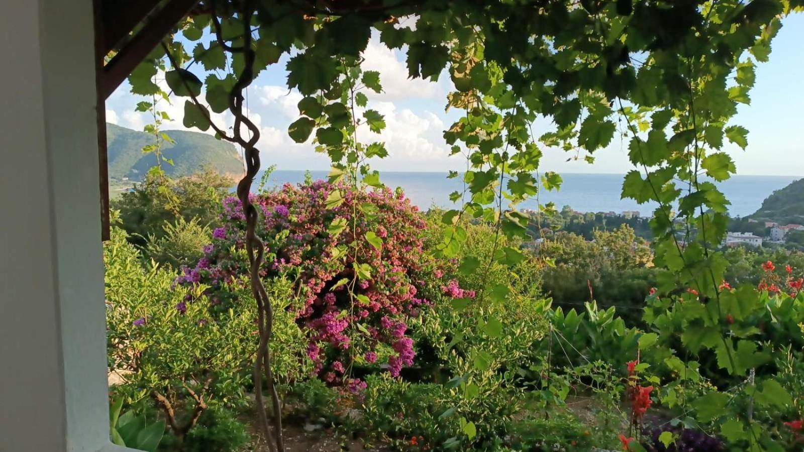 Vila Pogled Petrovac Zewnętrze zdjęcie
