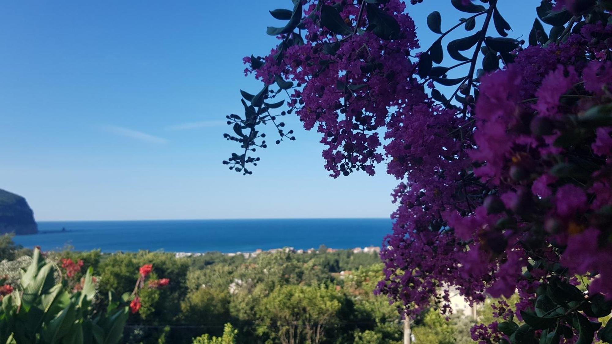 Vila Pogled Petrovac Zewnętrze zdjęcie