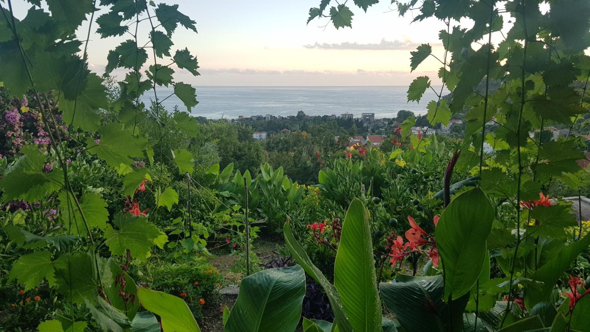 Vila Pogled Petrovac Zewnętrze zdjęcie