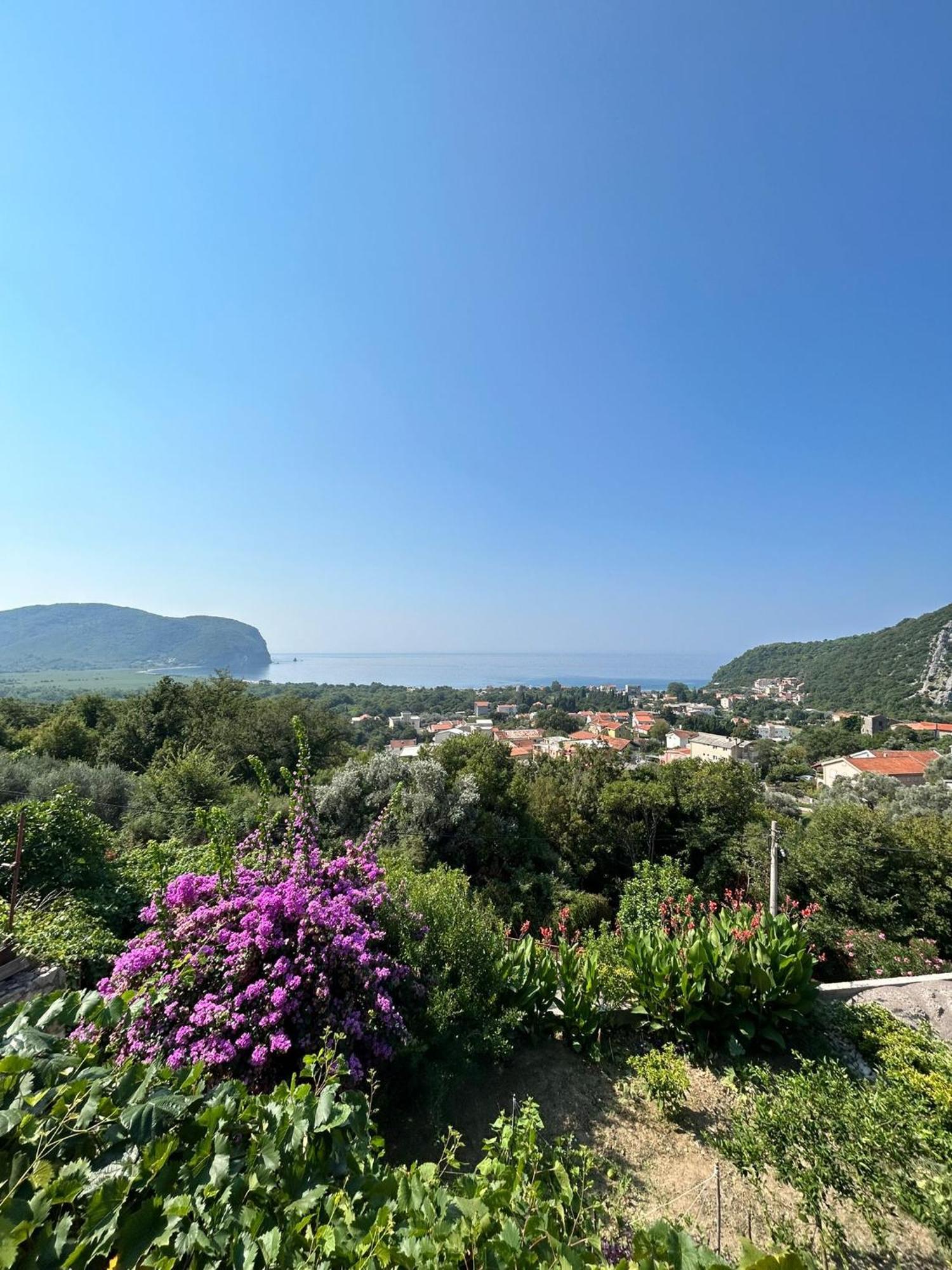 Vila Pogled Petrovac Zewnętrze zdjęcie
