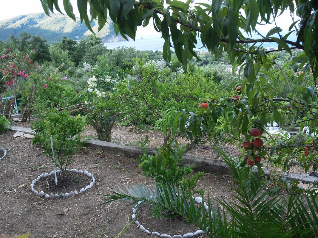 Vila Pogled Petrovac Zewnętrze zdjęcie